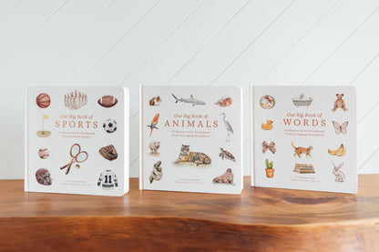 Our Big Book of First Words (Board Book)