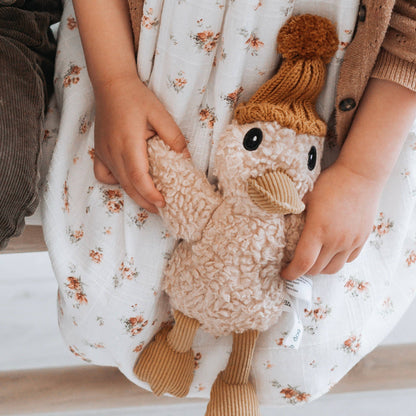 Teddy