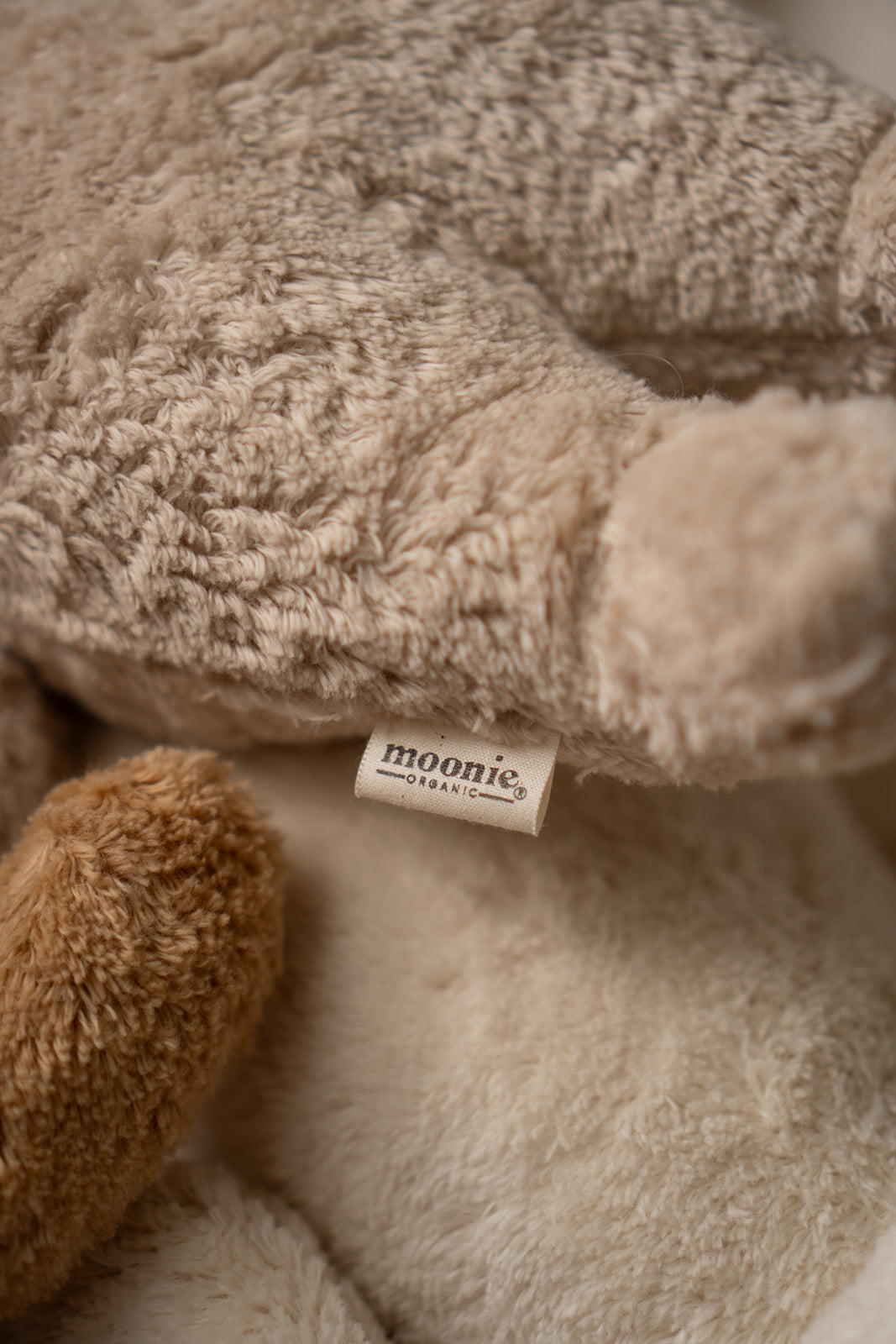 Moonie Sensory Little Teddy - Cappuccino