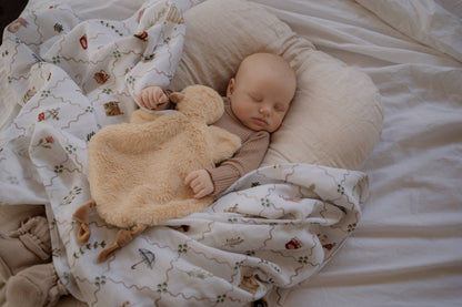 Cottage Picnic Swaddle Wrap