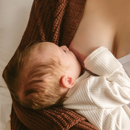 Nipple Shield Set, 3 sizes in 1 | Breastfeeding, New Mom: Blush